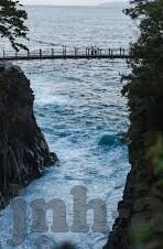 速8直播足球比分-速8直播足球比分，球迷的实时观赛新体验