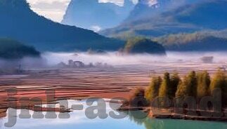 足球比分直播动画直播-足球比分直播与动画直播，科技赋能下的观赛新体验